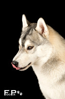 FidoPix